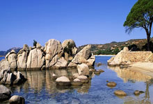 卡塔尔vs伊朗，谁能在西亚足球对决中更胜一筹？